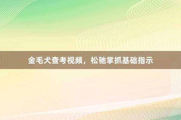 金毛犬查考视频，松驰掌抓基础指示