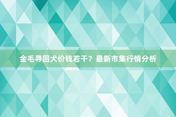 金毛寻回犬价钱若干？最新市集行情分析